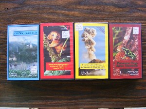 biblioteca 313 copy.jpg